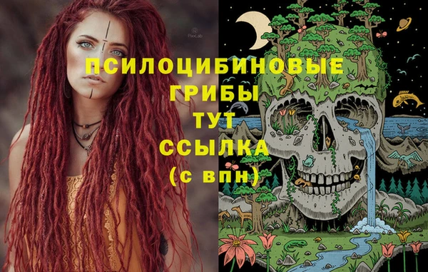 ECSTASY Армянск