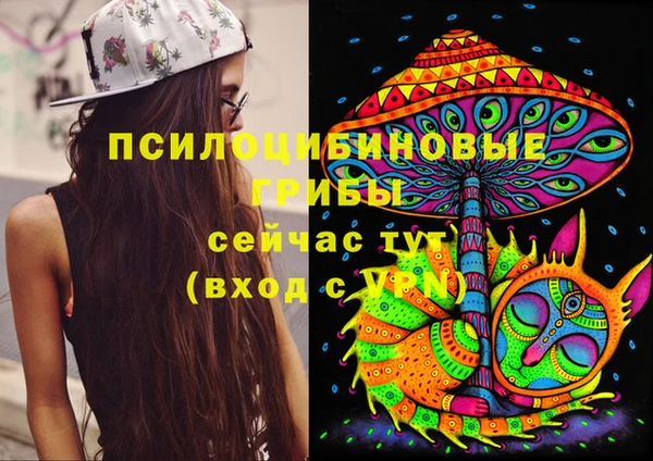 ECSTASY Армянск