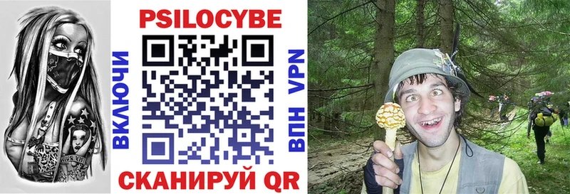 Псилоцибиновые грибы GOLDEN TEACHER  Лодейное Поле 